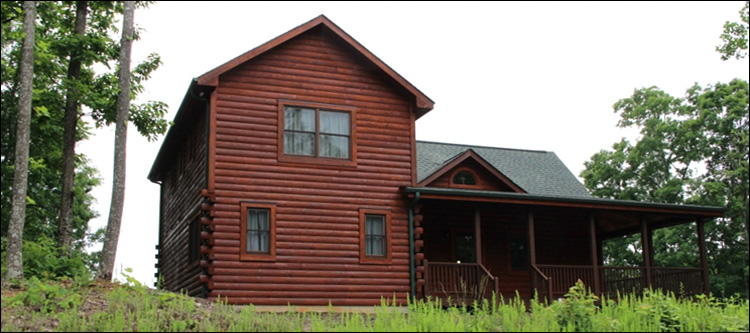 Professional Log Home Borate Application  Morrow County, Ohio